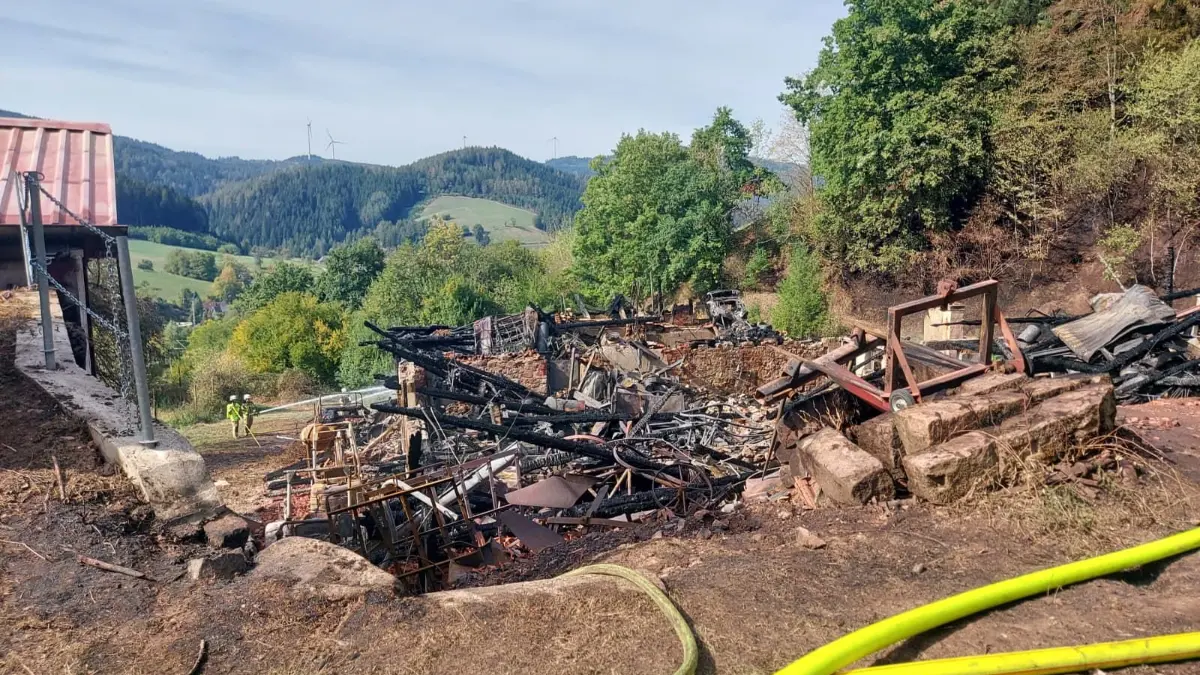 Bis auf die Grundmauern brannte der Hof ab.